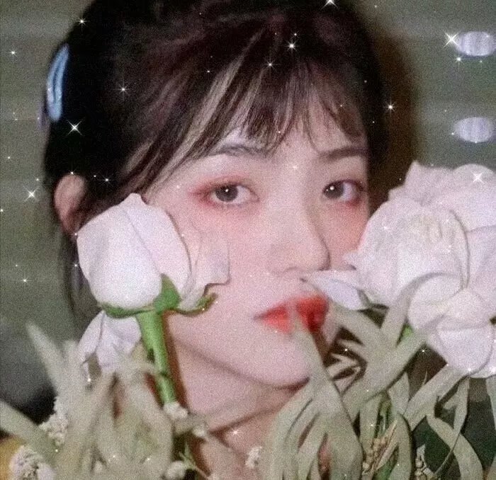 恶之华